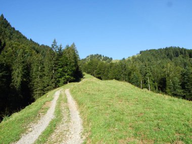 Pitoresk tepeler, orman ve mera Ostschweiz -: Appenzell Ausserrhoden Canton, İsviçre
