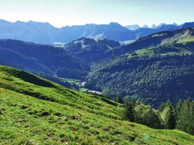 Pitoresk tepeler, orman ve mera Ostschweiz -: Appenzell Ausserrhoden Canton, İsviçre