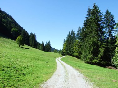 Pitoresk tepeler, orman ve mera Ostschweiz -: Appenzell Ausserrhoden Canton, İsviçre