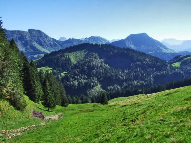 Pitoresk tepeler, orman ve mera Ostschweiz -: Appenzell Ausserrhoden Canton, İsviçre