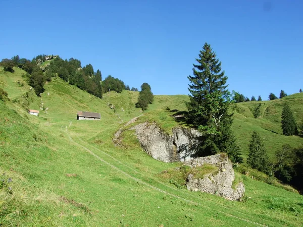 Malebné Hory Lesy Pastviny Ostschweiz Kanton Appenzell Ausserrhoden Švýcarsko — Stock fotografie