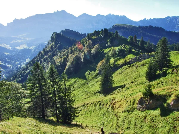 Colinas Pitorescas Florestas Pastagens Ostschweiz Cantão Appenzell Ausserrhoden Suíça — Fotografia de Stock