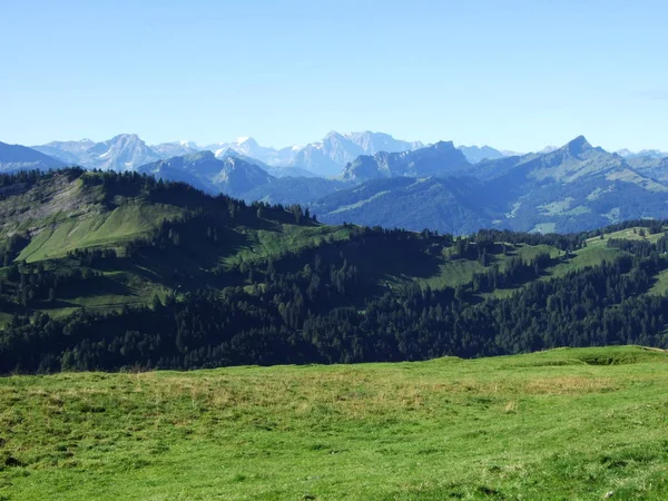 Colinas Pitorescas Florestas Pastagens Ostschweiz Cantão Appenzell Ausserrhoden Suíça — Fotografia de Stock