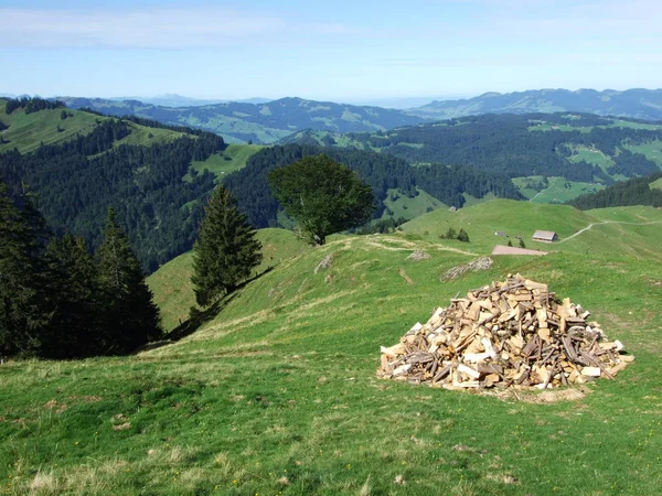 Pittoresche Colline Boschi Pascoli Ostschweiz Canton Appenzello Ausserrhoden Svizzera — Foto Stock
