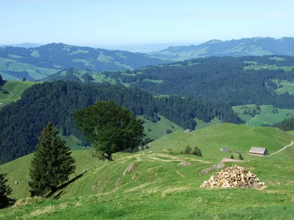 Γραφικούς Λόφους Δάση Και Βοσκοτόπια Στην Ostschweiz Καντονίου Του Appenzell — Φωτογραφία Αρχείου