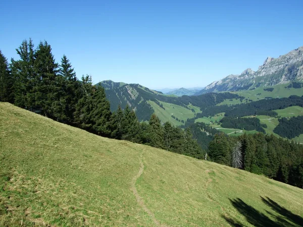 Malowniczych Wzgórz Lasów Pastwisk Ostschweiz Kanton Appenzell Ausserrhoden Szwajcaria — Zdjęcie stockowe