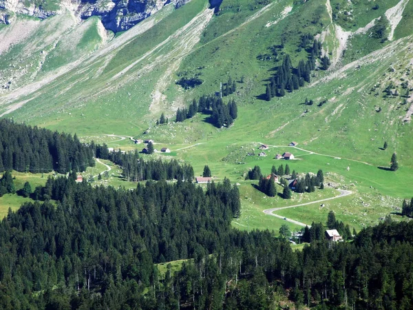 Malerische Hügel Wälder Und Weiden Der Ostschweiz Kanton Appenzell Ausserrhoden — Stockfoto