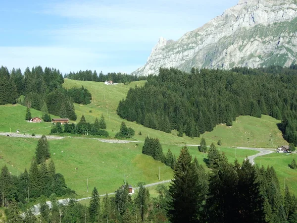 Живописные Холмы Леса Пастбища Ostschweiz Кантон Аппенцелль Аусерроден Швейцария — стоковое фото