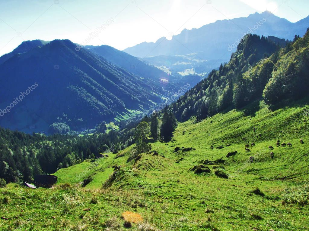 Picturesque hills, forests and pastures in Ostschweiz - Canton of Appenzell Ausserrhoden, Switzerland