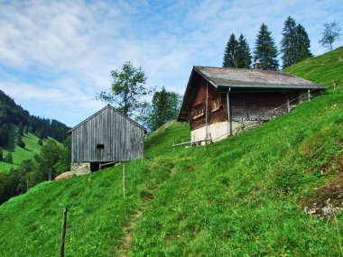 Çiftlikleri ve mera Ostschweiz bölgesi - Appenzell Ausserrhoden Canton, İsviçre