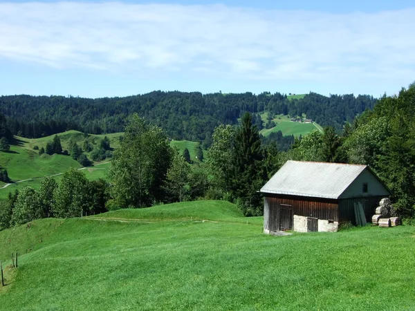 Fermes Pâturages Région Ostschweiz Canton Appenzell Ausserrhoden Suisse — Photo