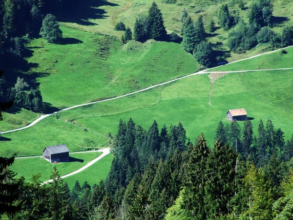 Fazendas Pastagens Região Ostschweiz Cantão Appenzell Ausserrhoden Suíça — Fotografia de Stock