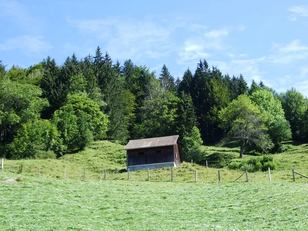 ฟาร มและท งหญ าของภ ภาค Ostschweiz แคนต นของ Appenzellerrhoden ตเซอร — ภาพถ่ายสต็อก