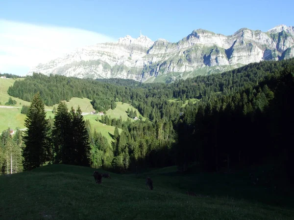 Vista Para Pico Santis Montanha Alpstein Cantão Appenzell Innerrhoden Suíça — Fotografia de Stock