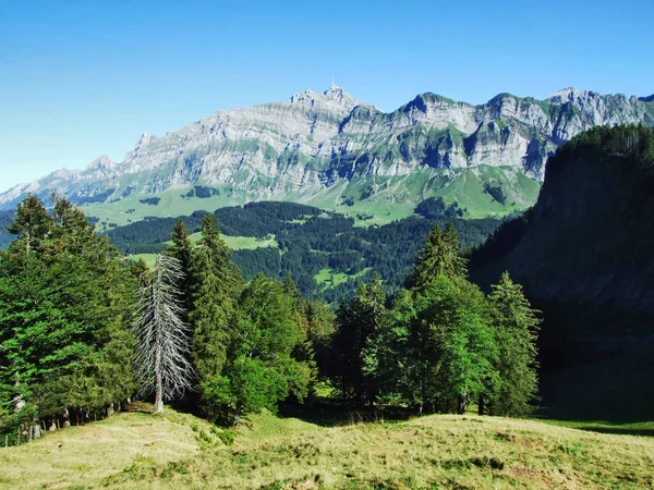 Zobacz Szczyt Santis Góry Masy Alpstein Kanton Appenzell Innerrhoden Szwajcaria — Zdjęcie stockowe