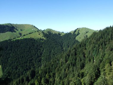 Bıyıklı ormanlar Ostschweiz bölgesi - Appenzell Ausserrhoden Canton, İsviçre
