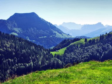 Bıyıklı ormanlar Ostschweiz bölgesi - Appenzell Ausserrhoden Canton, İsviçre