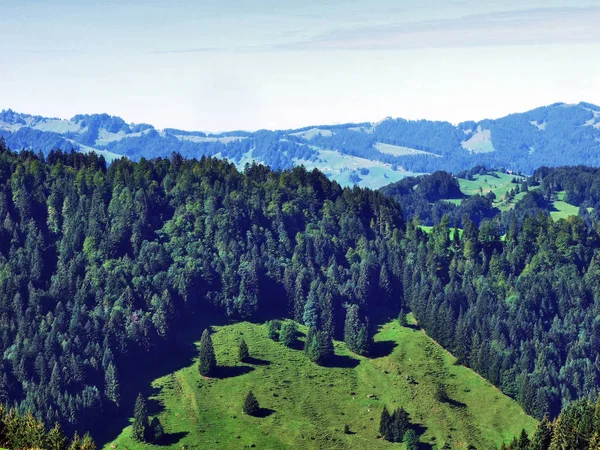 Forêts Subalpines Dans Région Ostschweiz Canton Appenzell Ausserrhoden Suisse — Photo