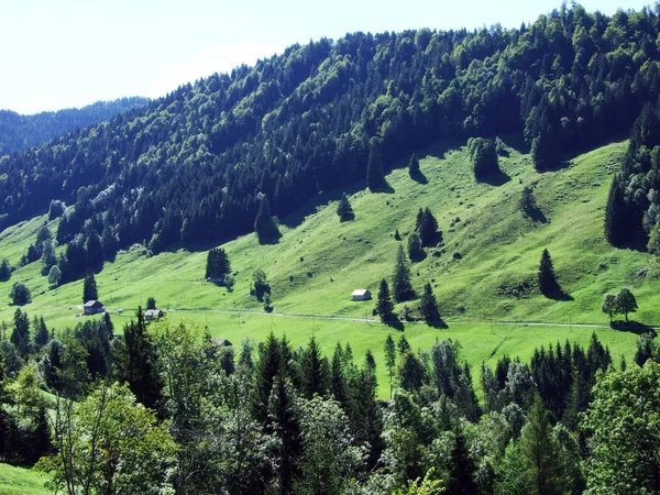 Subalpejskie Lasy Ostschweiz Regionie Kanton Appenzell Ausserrhoden Szwajcaria — Zdjęcie stockowe