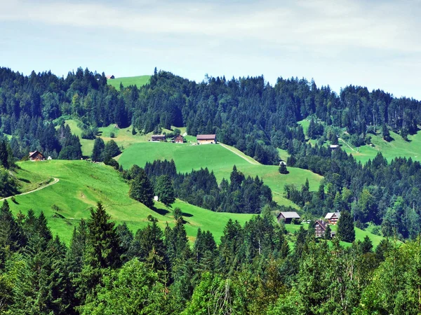 Subalpínské Lesů Ostschweiz Regionu Kanton Appenzell Ausserrhoden Švýcarsko — Stock fotografie