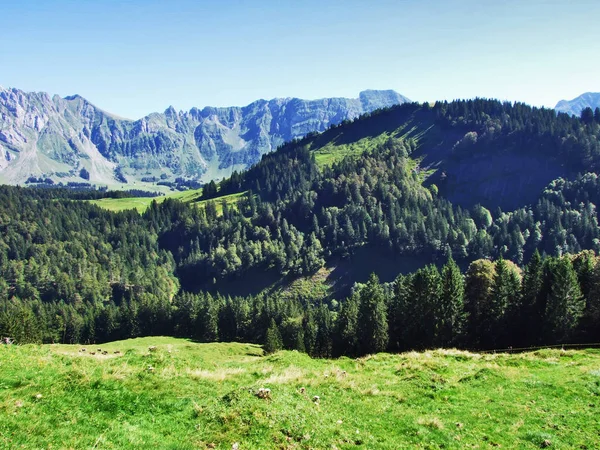 Ostschweiz アッペンツェル Ausserrhoden カントン スイス連邦共和国の亜高山帯林 — ストック写真