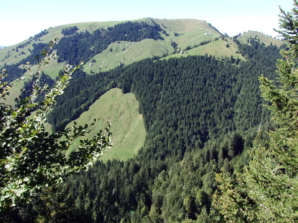 Subalpine Forests Ostschweiz Region Canton Appenzell Ausserrhoden Switzerland — Stock Photo, Image