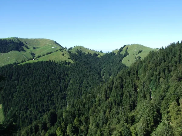Bıyıklı ormanlar Ostschweiz bölgesi - Appenzell Ausserrhoden Canton, İsviçre