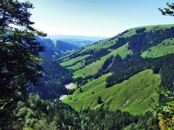 Subalpine Forests Ostschweiz Region Canton Appenzell Ausserrhoden Switzerland — Stock Photo, Image