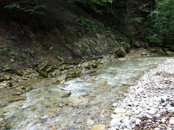 Forest Streams Ostschweiz Regio Kanton Appenzell Ausserrhoden Zwitserland — Stockfoto