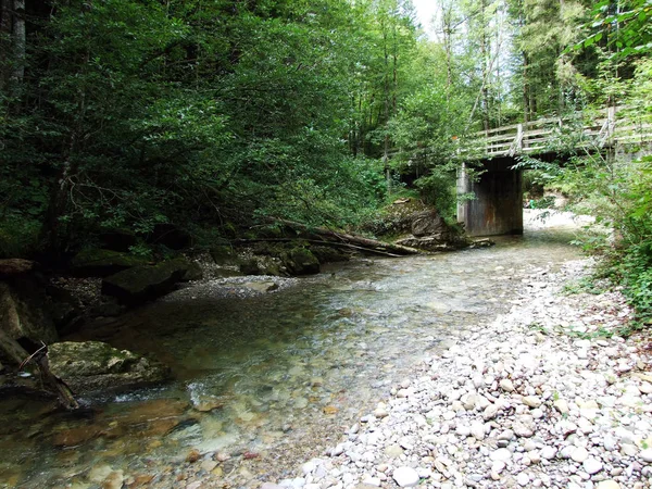 Ruisseaux Forestiers Dans Région Ostschweiz Canton Appenzell Ausserrhoden Suisse — Photo