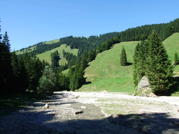 Orman Akarsu Ostschweiz Bölgesi Appenzell Ausserrhoden Canton Sviçre — Stok fotoğraf