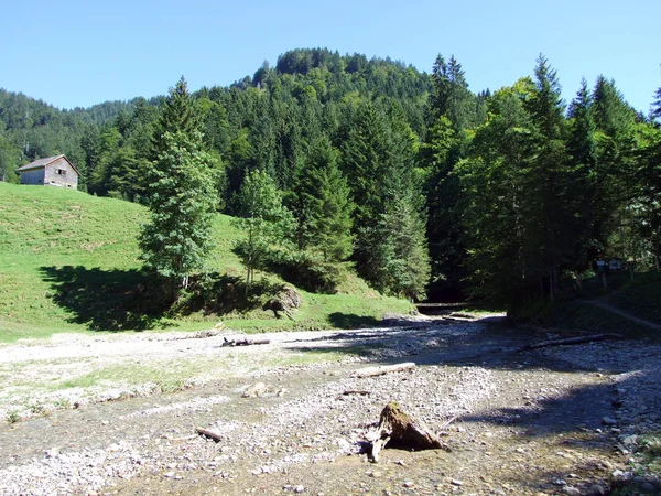 Ostschweiz アッペンツェル Ausserrhoden カントン スイス連邦共和国で森林ストリーム — ストック写真