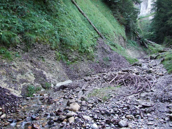 Orman Akarsu Ostschweiz Bölgesi Appenzell Ausserrhoden Canton Sviçre — Stok fotoğraf