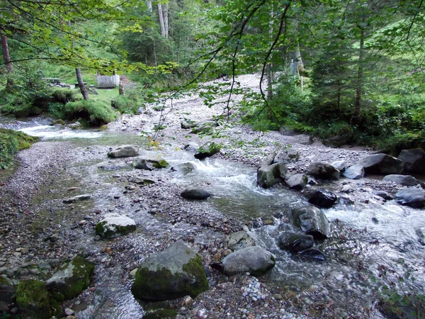 Ostschweiz アッペンツェル Ausserrhoden カントン スイス連邦共和国で森林ストリーム — ストック写真