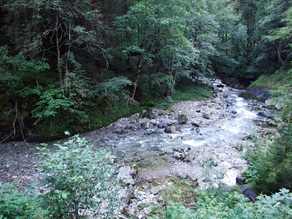 Fluxos Florestais Região Ostschweiz Cantão Appenzell Ausserrhoden Suíça — Fotografia de Stock