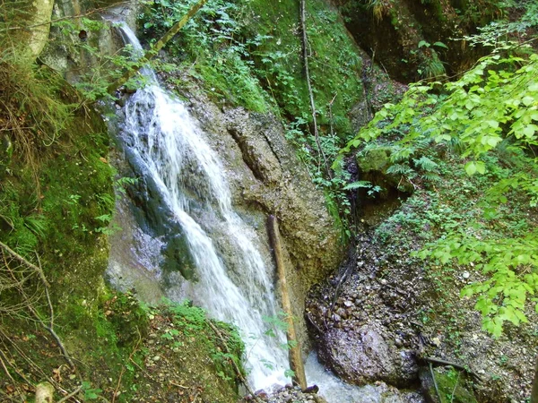 Cascadas Caídas Los Arroyos Región Ostschweiz Cantón Appenzell Ausserrhoden Suiza — Foto de Stock
