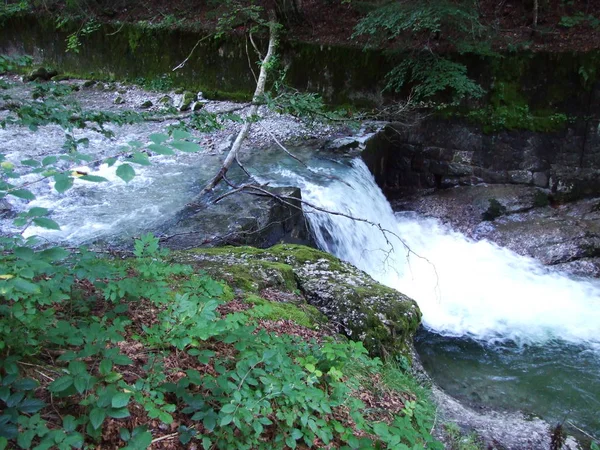 在奥斯特施维兹地区的溪流上瀑布 瑞士阿彭策尔奥塞罗登州 — 图库照片