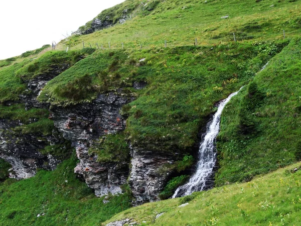 Cascadas Cascadas Valle Weisstannental Cantón Gallen Suiza — Foto de Stock