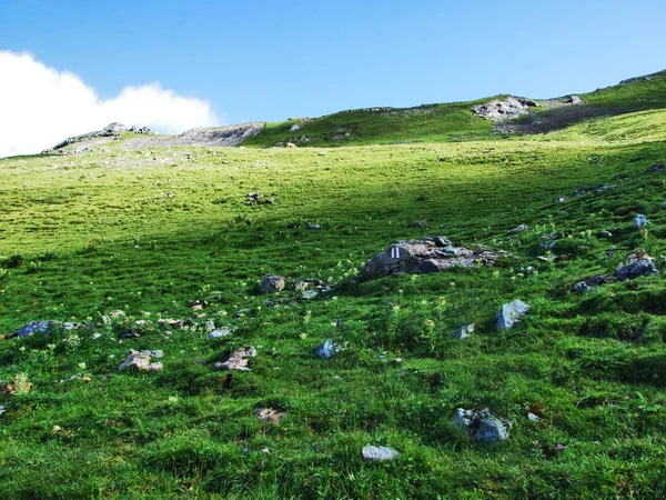 Festői Legelők Hegyek Ostschweiz Régió Gallen Kanton Svájc — Stock Fotó