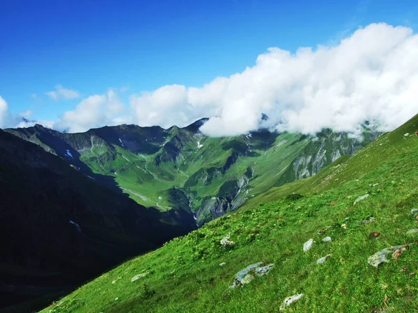 Picturesque Pastures Hills Ostschweiz Region Canton Gallen Switzerland — Stock Photo, Image