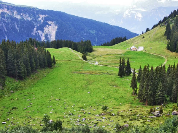 Malebných Pastvin Vrchů Ostschweiz Regionu Kantonu Gallen Švýcarsko — Stock fotografie