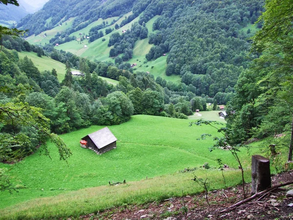 屋台や Weisstannen ザンクト ガレンのカントン スイス連邦共和国で牛の牧草地で農場 — ストック写真