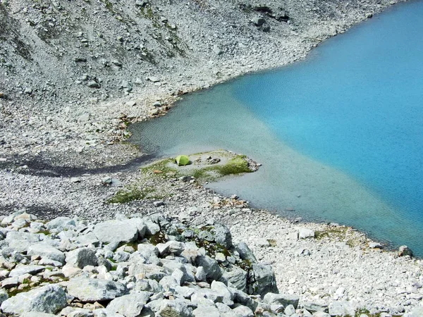 Alpine Lake Wildsee Pizol Peak Mountain Range Glarus Alps Canton — Stock Photo, Image