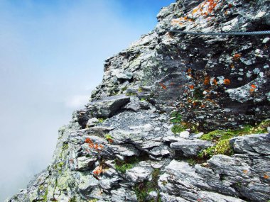 Pizol en yüksek dağ kitle Glarus Alps - Canton St. Gallen, İsviçre için görüntüleyin