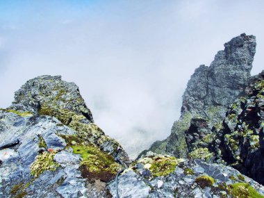 Pizol en yüksek dağ kitle Glarus Alps - Canton St. Gallen, İsviçre için görüntüleyin