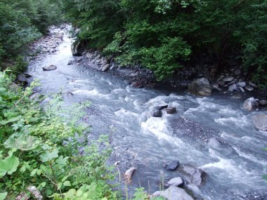 Seez nehir Weisstannen Köyü ve Weisstannental Vadisi - Canton St. Gallen, İsviçre