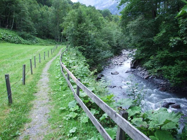 Weisstannen Weisstannental ザンクト ガレンのカントン スイス連邦共和国で焼付き川 — ストック写真