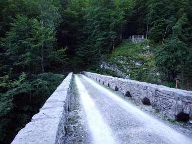 Linth Nehri - Canton Glarus, İsviçre Kanyon eski taş köprüler
