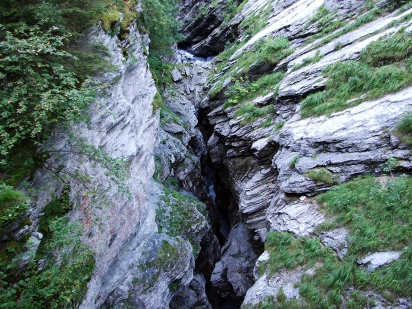 Каньйон Річки Linth Над Linthal Гларус Швейцарія — стокове фото