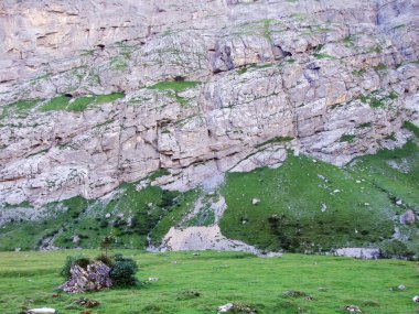 Taşlar ve kayalar Sandbach Vadisi - Canton Glarus, İsviçre